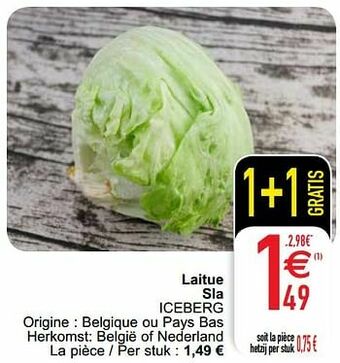Cora Laitue sla iceberg aanbieding