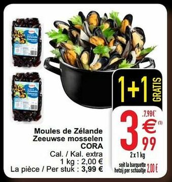 Cora Moules de zélande zeeuwse mosselen cora aanbieding