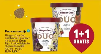 Häagen-Dazs Duo van roomijs