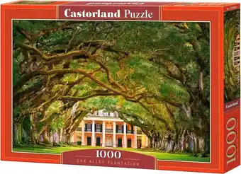 Bol.com Castorland oak alley plantation - 1000 stukjes aanbieding