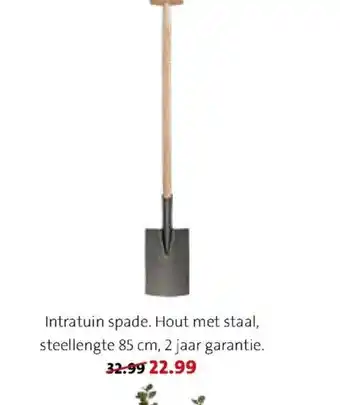 Intratuin spade