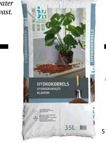 Intratuin Intratuin hydrokorrels aanbieding