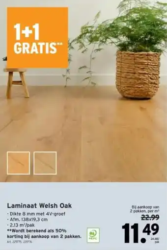 GAMMA Laminaat Welsh Oak aanbieding