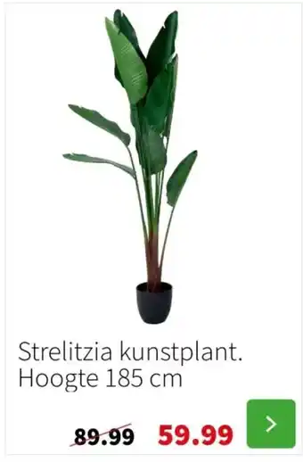 Strelitzia kunstplant. Hoogte 185 cm