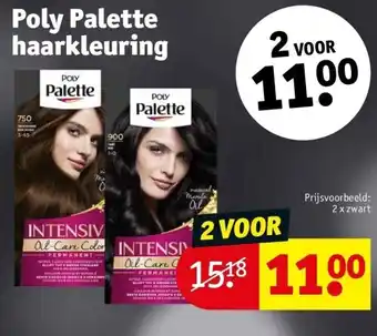 Kruidvat Poly palette haarkleuring aanbieding
