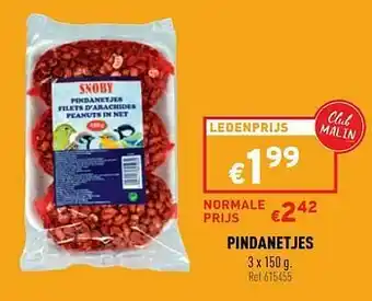 Pindanetjes