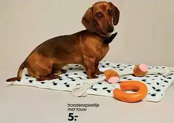Hondenspeeltje met touw