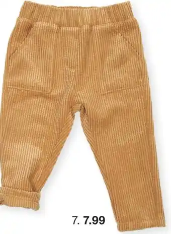 Zeeman Broek aanbieding