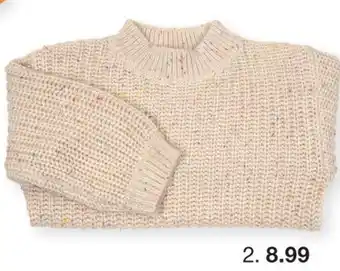 Zeeman Trui aanbieding