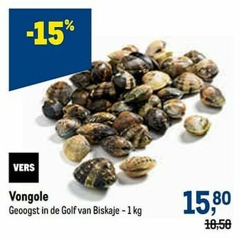 Vongole