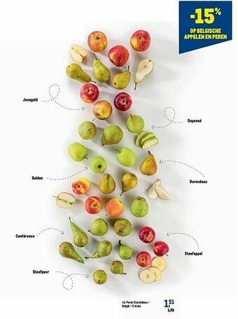 Makro Peren durondeau aanbieding