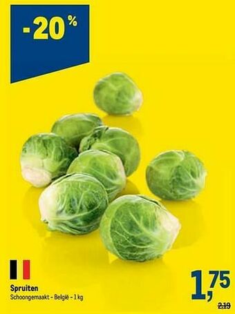Spruiten