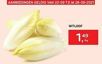 Alvo Witloof aanbieding