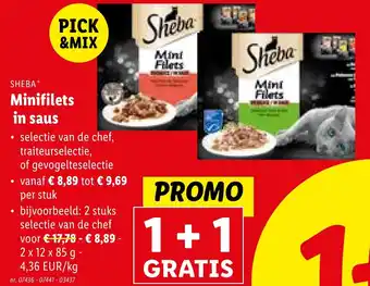 Lidl Minifilets in saus aanbieding