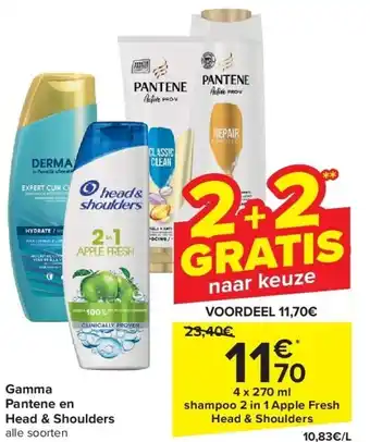 Carrefour Gamma pantene en head & shoulders aanbieding