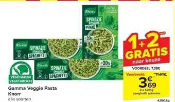Carrefour Gamma veggie pasta knorr aanbieding