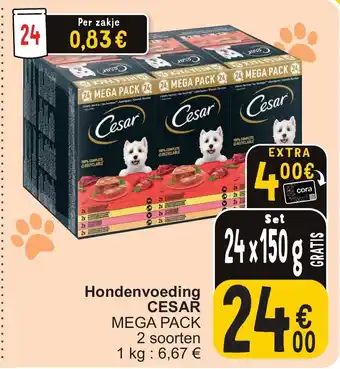 Cora Hondenvoeding CESAR MEGA PACK aanbieding