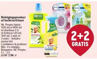 Delhaize Reinigingsproduct of luchtverfrisser aanbieding