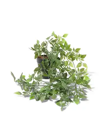 HEMA Hema kunst hangplant 50cm aanbieding