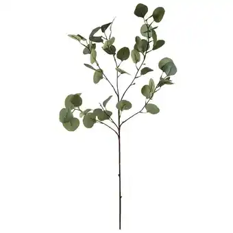 Leen Bakker Decoratieve tak eucalyptus - grijs/groen - 87 cm aanbieding