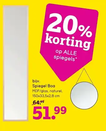 Leen Bakker Spiegel boa aanbieding