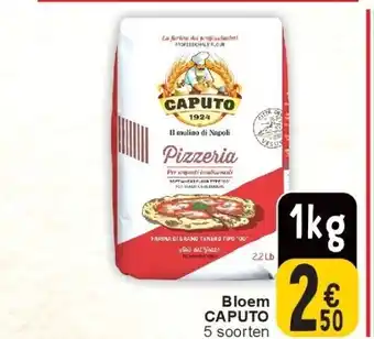 Cora Bloem caputo aanbieding