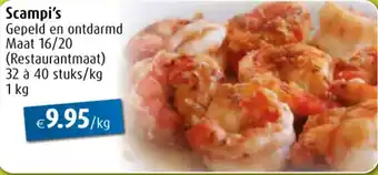 Aronde Scampi's aanbieding
