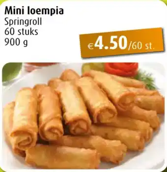 Aronde Mini loempia Springroll 60 stuks 900 g aanbieding