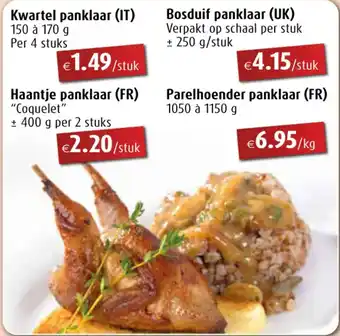 Aronde Kwartel panklaar aanbieding