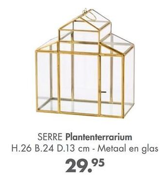 Serre plantenterrarium