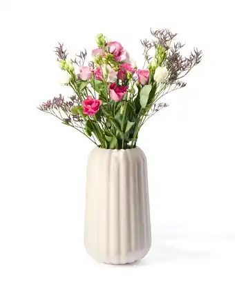 HEMA Hema vaas aardewerk ø9x29 ecru (naturel) aanbieding