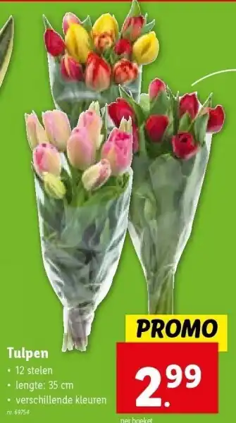 Lidl Tulpen aanbieding