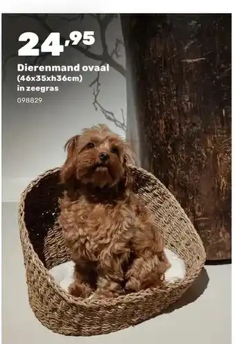 Dierenmand ovaal (46x35xh36cm) in zeegras