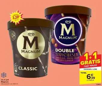 Carrefour Ijs in pot magnum aanbieding