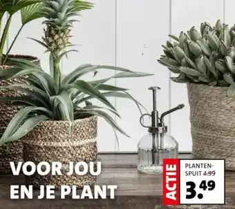 Intratuin Planten- spuit aanbieding