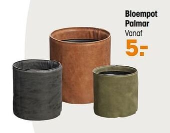 Bloempot palmar