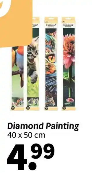 Wibra Diamond painting aanbieding