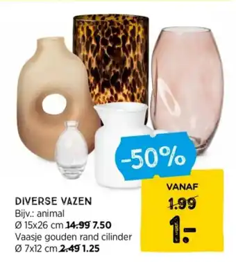 Xenos DIVERSE VAZEN aanbieding