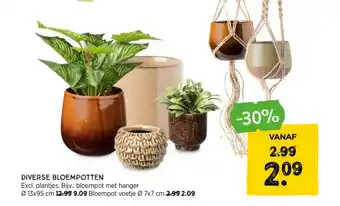 Xenos DIVERSE BLOEMPOTTEN aanbieding