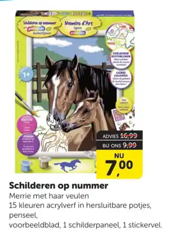 Boekenvoordeel Schilderen op nummer aanbieding
