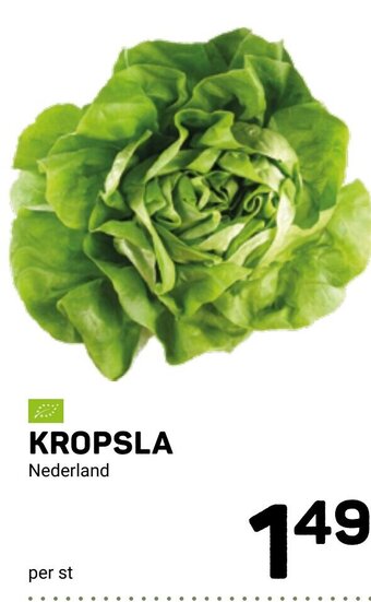 Kropsla
