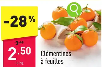 ALDI Clémentines à feuilles aanbieding