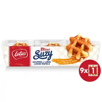 Delhaize Luikse wafels | natuur | mini aanbieding
