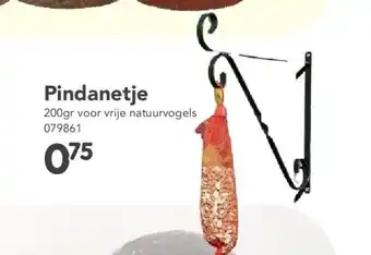 Pindanetje