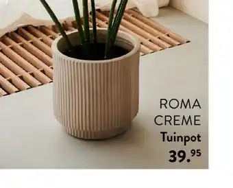 Roma creme tuinpot