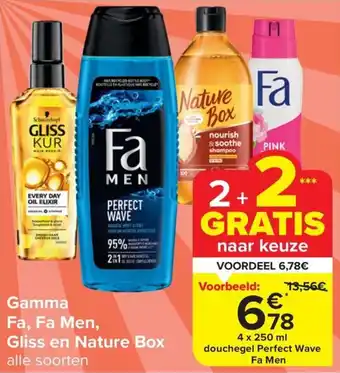Carrefour Market Gamma Fa, Fa Men, Gliss en Nature Box 4 X 250 ml aanbieding