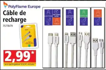 PolyFlame Europe Câble de recharge
