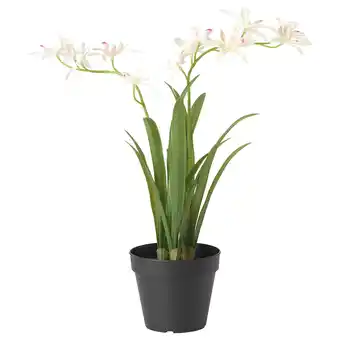 IKEA Fejka kunstplant, gele orchidee, 12 cm aanbieding
