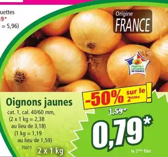 Oignons jaunes