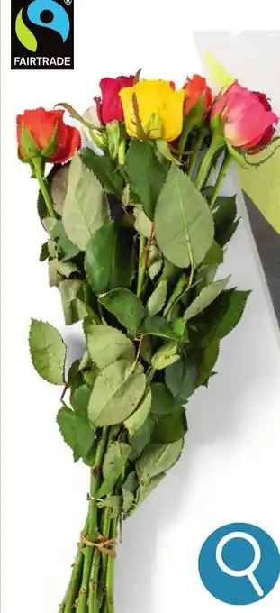 Fairtrade rozen per boeket